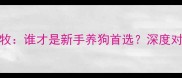 拉布拉多VS边牧谁才是新手养狗首选深度对比养宠全指南