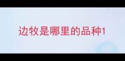 边牧是哪里的品种