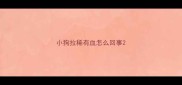 小狗拉稀有血怎么回事