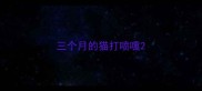 三个月的猫打喷嚏