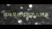 猫咪早晚咳嗽怎么回事