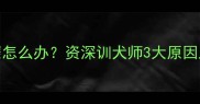 哈士奇精神萎靡怎么办资深训犬师3大原因及科学应对方案