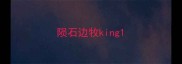 陨石边牧king