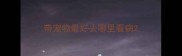 带宠物最好去哪里看病