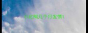 小比熊几个月发情
