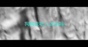狗狗能吃人的药吗