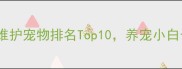 新手必看低维护宠物排名Top10养宠小白也能轻松逆袭