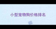 小型宠物狗价格排名