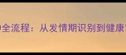 金毛犬科学配种全流程从发情期识别到健康繁殖的完整指南