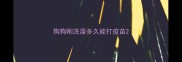 狗狗刚洗澡多久能打疫苗