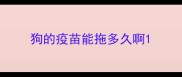 狗的疫苗能拖多久啊
