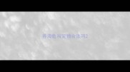 养海龟当宠物合法吗