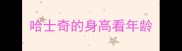 哈士奇的身高看年龄