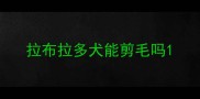 拉布拉多犬能剪毛吗