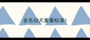 金毛幼犬重量标准