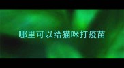 哪里可以给猫咪打疫苗