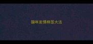 猫咪发情棉签大法