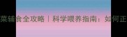三个月大金毛幼犬吃蔬菜辅食全攻略科学喂养指南如何正确引入蔬菜避免肠胃不适