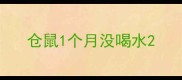 仓鼠1个月没喝水
