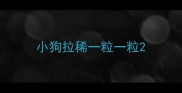 小狗拉稀一粒一粒