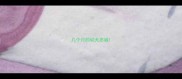 几个月的幼犬忠诚