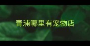 青浦哪里有宠物店
