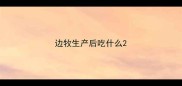边牧生产后吃什么