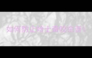 如何防止哈士奇咬东西