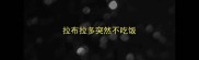 拉布拉多突然不吃饭