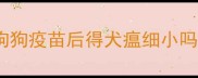 狗狗疫苗后得犬瘟细小吗