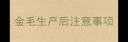 金毛生产后注意事项