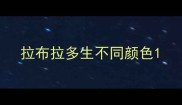 拉布拉多生不同颜色