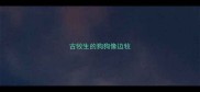 古牧生的狗狗像边牧