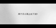 两个月小狗上吐下泄