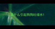 是什么引起狗狗吐绿水