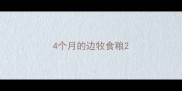 4个月的边牧食粮