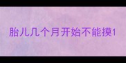 胎儿几个月开始不能摸