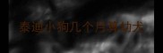 泰迪小狗几个月算幼犬