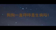 狗狗一直哼哼是生病吗