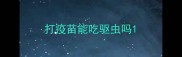 打疫苗能吃驱虫吗