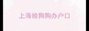 上海给狗狗办户口