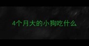 4个月大的小狗吃什么