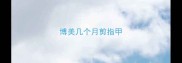 博美几个月剪指甲
