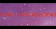 哈士奇黄金眼养护指南如何培育出会看黄金的聪明哈士奇