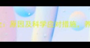 狗狗刨土行为全原因及科学应对措施养宠人必看指南