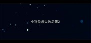 小狗免疫失败后果