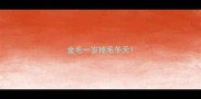 金毛一岁掉毛冬天