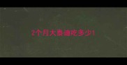 2个月大泰迪吃多少
