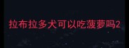 拉布拉多犬可以吃菠萝吗
