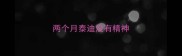 两个月泰迪没有精神